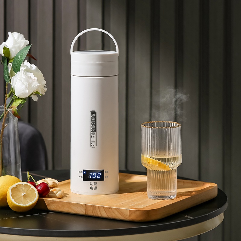 Bollitore elettrico da viaggio - Baby Food Thermos recensione e prezzo