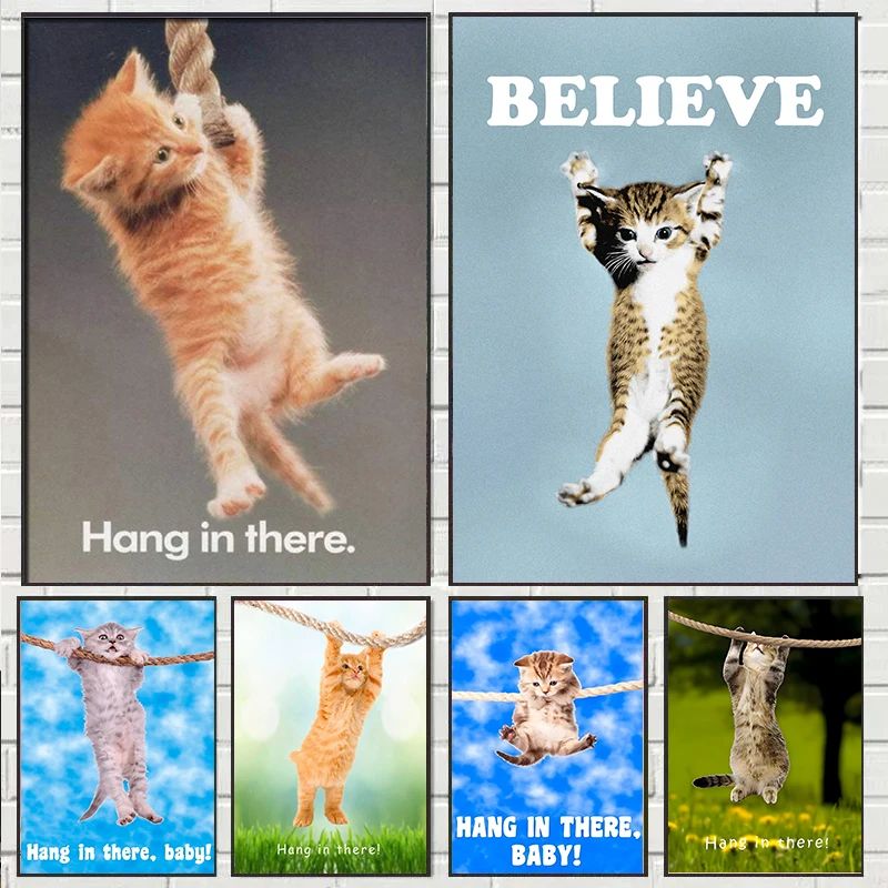Hang In There Baby Cute Cat Yo - Baby Food Oil recensione e prezzo