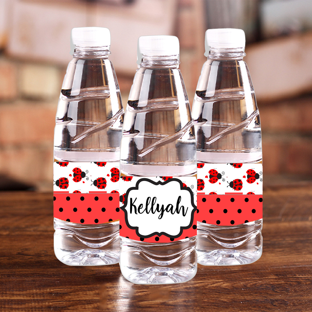 Coccinella personalizzata Bott - Baby Food Name recensione e prezzo
